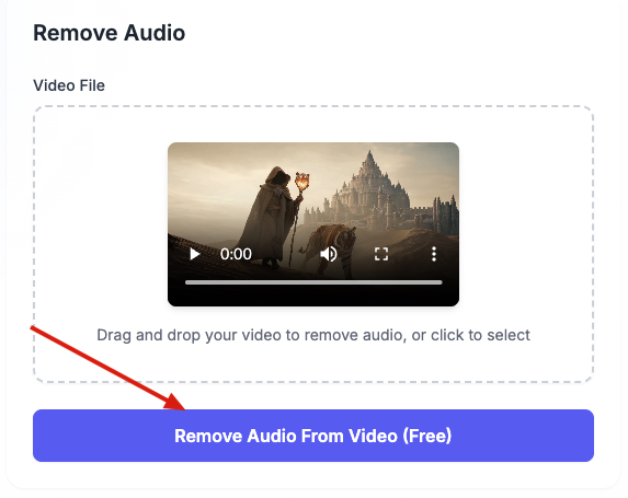 Step 2: Start the Audio Remover Process